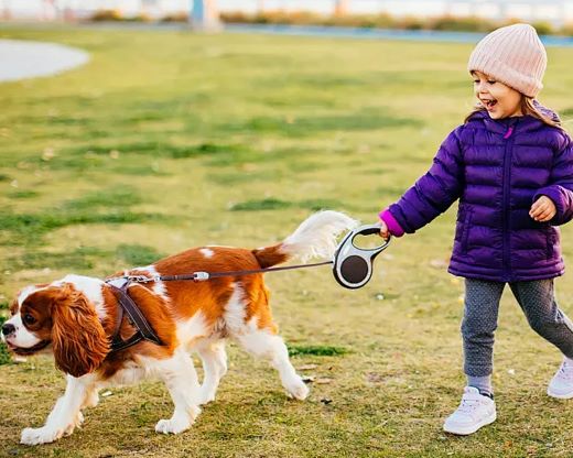 These 6 wrong "dog walking methods" will harm dogs‼ ️