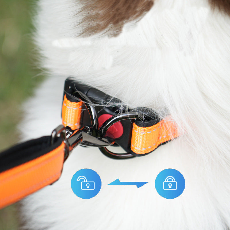 Bonnieharness Dog Collar With D-Ring And Safety Locking Buckle