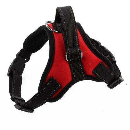 Bonnieharness Essential No Pull Adjustable And Padded Dog Harness