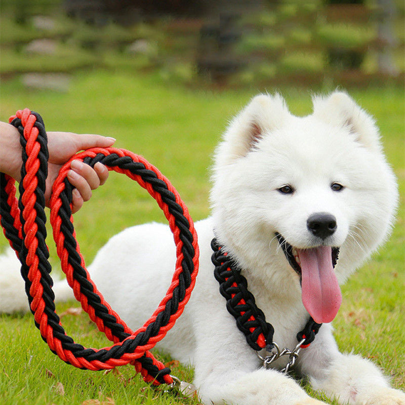 Bonnieharness Manual Soft Braided Nylon Leash For Medium/Large Dogs