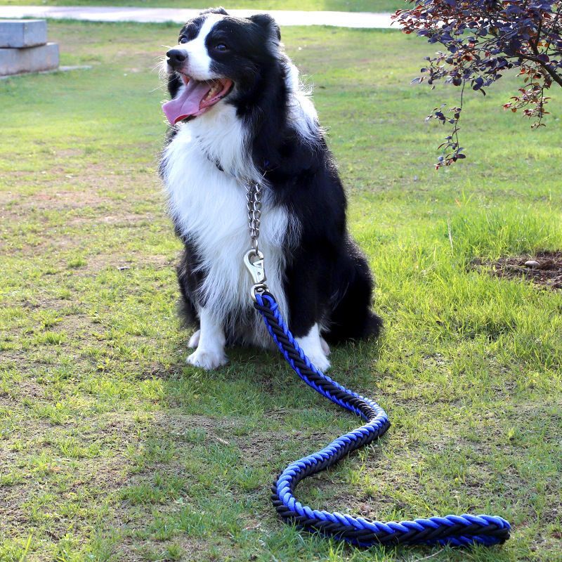 Bonnieharness Manual Soft Braided Nylon Leash For Medium/Large Dogs