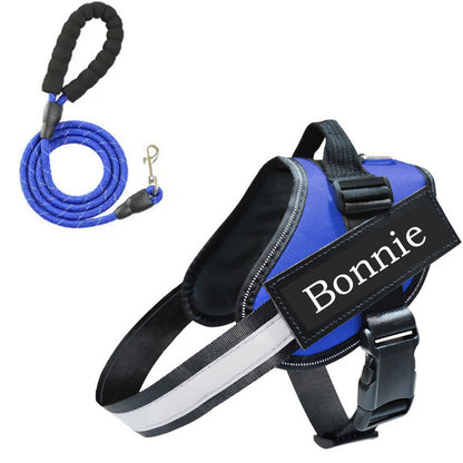 Bonnieharness Custom Dog Harness And Leash Set