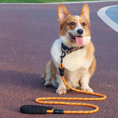 Bonnieharness Reflective Dog Leash With Comfortable Padded Handle