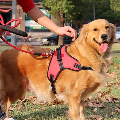 Bonnieharness Essential No Pull Adjustable And Padded Dog Harness